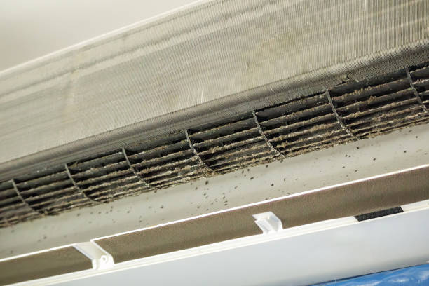 Best Professional Duct Cleaning Services  in Valinda, CA